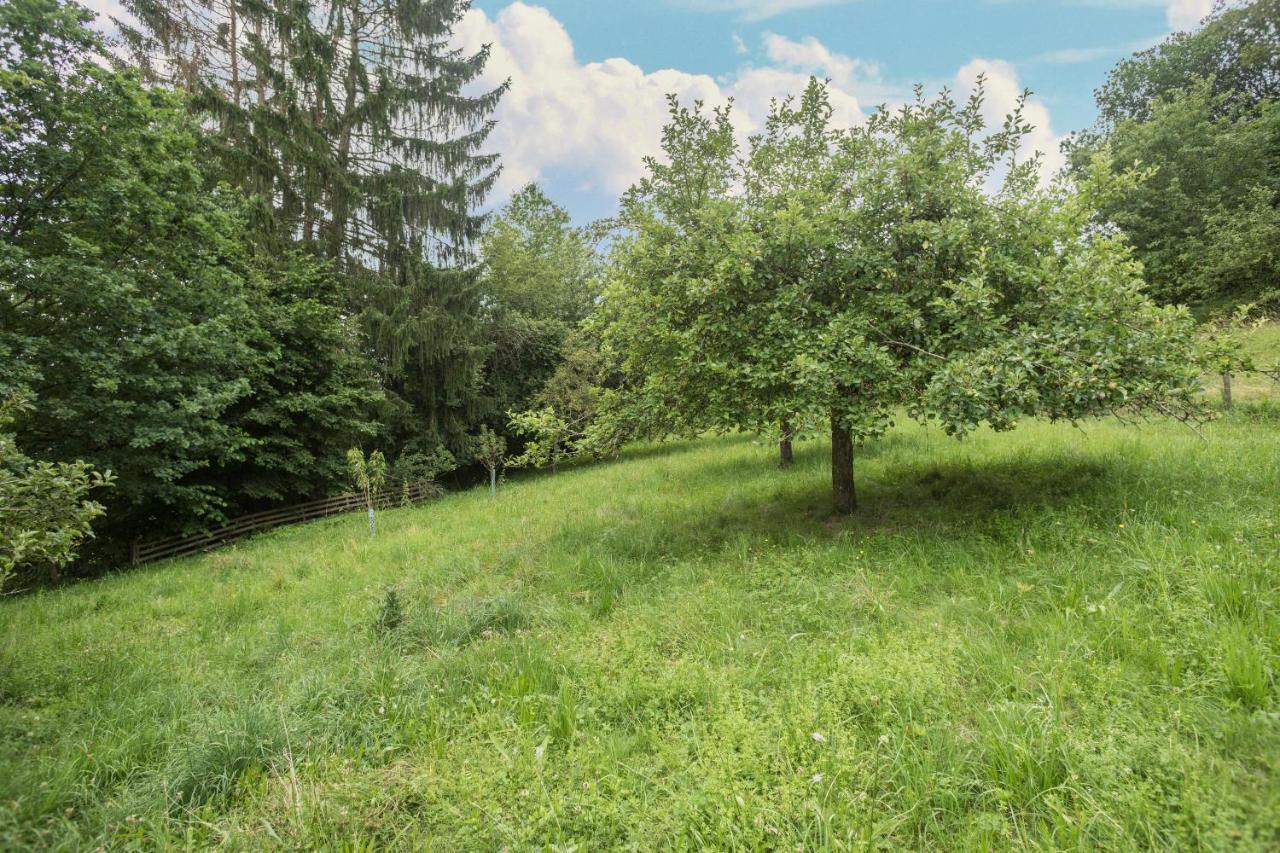 Haus Afaldra Mengen Buitenkant foto